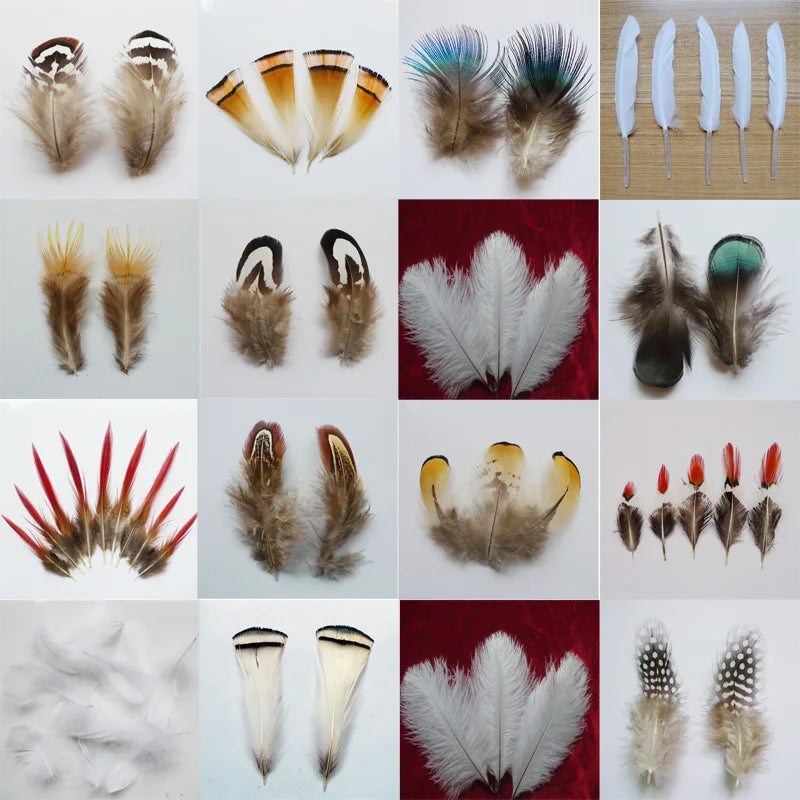 Wholesale Natural Peacock Pheasant Feather Chicken Plumes For DIY Needlework Handicrafts Headdress Small Decor Jewelry Creation