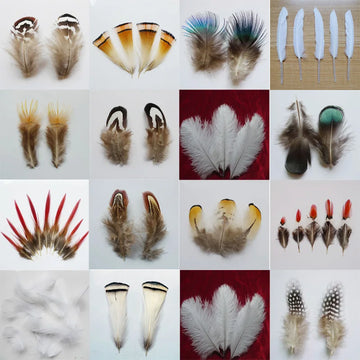 Wholesale Natural Peacock Pheasant Feather Chicken Plumes For DIY Needlework Handicrafts Headdress Small Decor Jewelry Creation